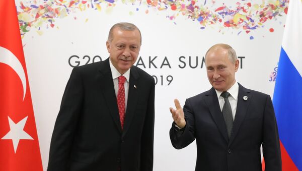 Putin și Erdogan, la G20 - Sputnik Moldova