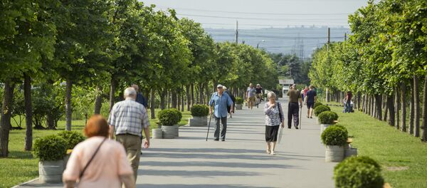 Аллея на бульваре Мирча чел Бэтрын - Sputnik Moldova