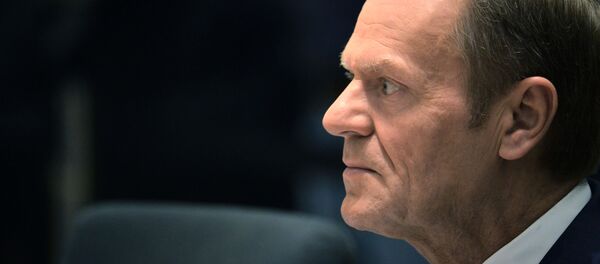 European Council President Donald Tusk  - Sputnik Moldova-România