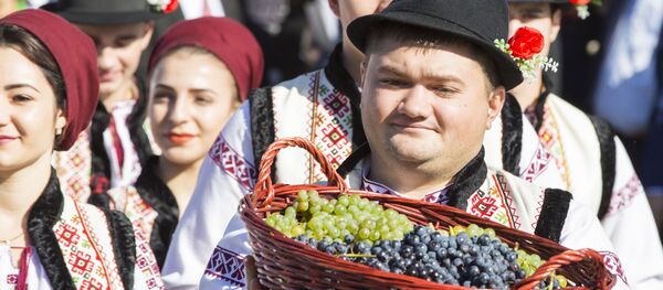Здоровая конкуренция: вытеснит ли молдавское вино с российских полок грузинское - Sputnik Молдова