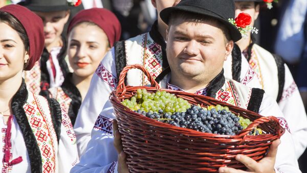Здоровая конкуренция: вытеснит ли молдавское вино с российских полок грузинское - Sputnik Молдова