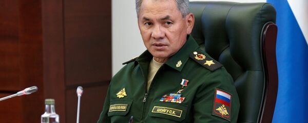 Министр обороны РФ Сергей Шойгу - Sputnik Moldova