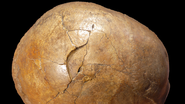 Craniul omului de Cro-Magnon, descoperit în peștera Cioclovina, România - Sputnik Moldova-România