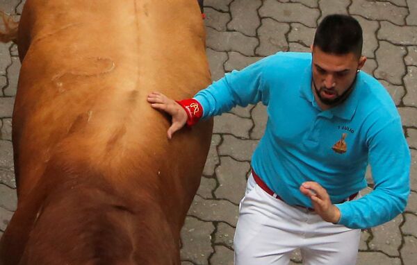 Участник фестиваля Сан-Ферми дотрагивается до быка в Памплоне, Испания - Sputnik Молдова