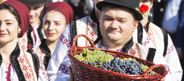 Vor dezlocui oare de pe piața Rusiei vinurile moldovenești pe cele georgiene - Sputnik Moldova