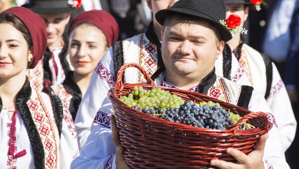 Vor dezlocui oare de pe piața Rusiei vinurile moldovenești pe cele georgiene - Sputnik Moldova