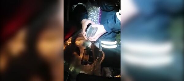 Сотрудники ДПС остановили катафалк и нашли полтонны икры в гробу - Sputnik Молдова