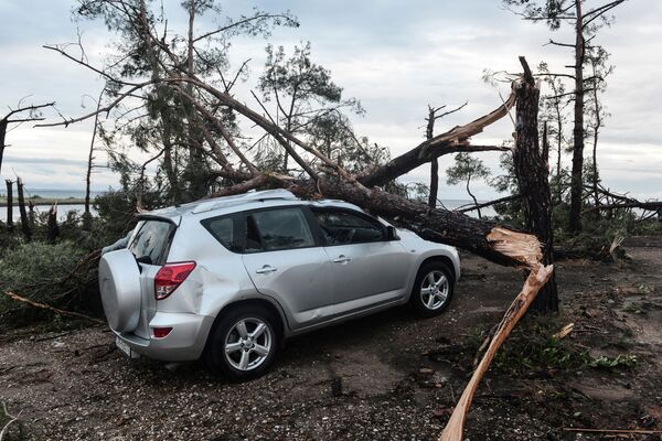 Mașină în Nea Plagia, avariată de copaci care au căzut în timpul unei furtuni pe Halkidiki, Grecia de Nord - Sputnik Moldova-România