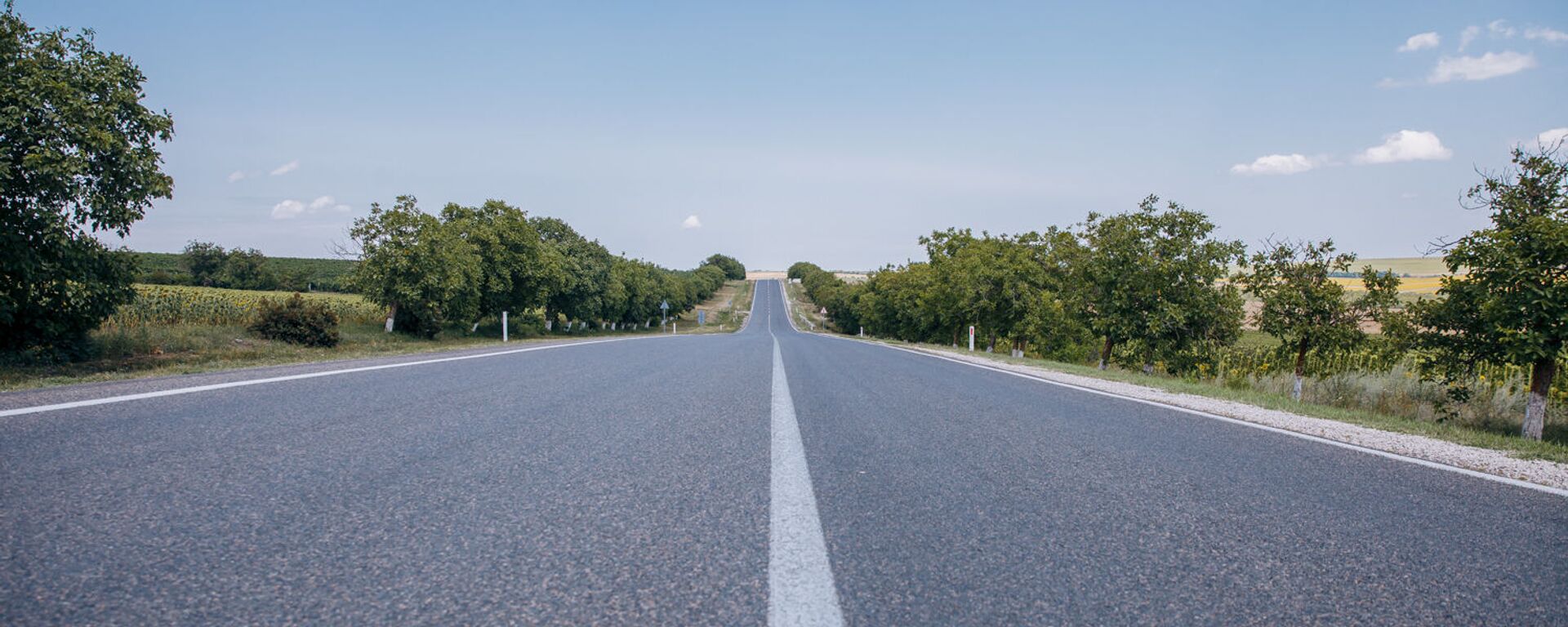 Президент Молдовы и глава ЕБРР открыли участок автомагистрали Кишинев-Джурджулешты - Sputnik Молдова, 1920, 25.07.2023