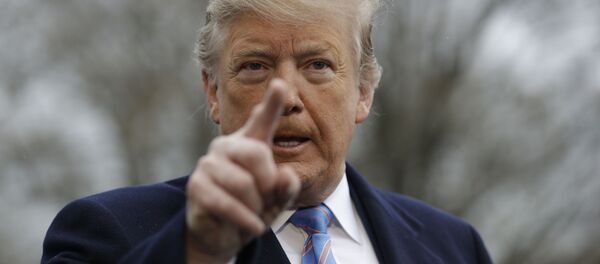 Президент США Дональд Трамп Президент США Дональд Трамп - Sputnik Молдова