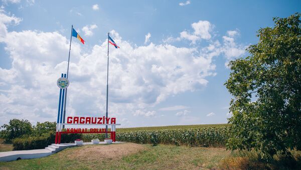 Флаг Республики Молдова и Гагаузии - Sputnik Молдова
