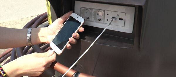 Что думают кишиневцы о первых солнечных деревьях, появившихся в городе в редактуре - Sputnik Молдова