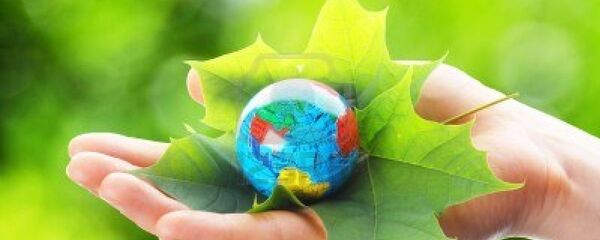 ecologie - Sputnik Moldova