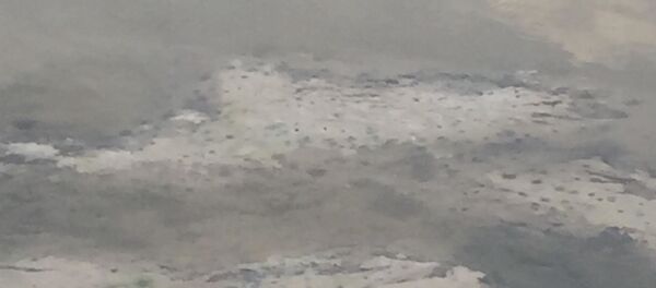 Река Бык, архивное фото. Река Бык, архивное фото. - Sputnik Молдова