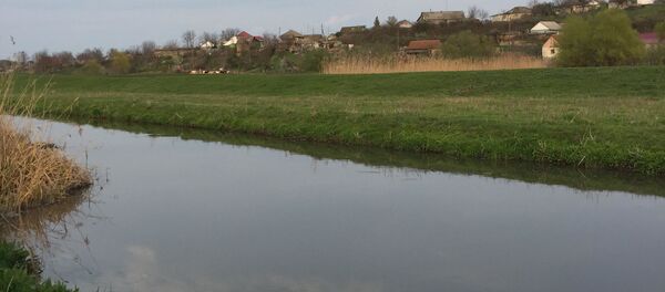 Бульбоака - река Бык Бульбоака - река Бык - Sputnik Молдова