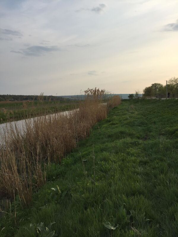 Ядовитая черная вода в Быке: почему погибает известная река Молдовы - фото Ядовитая черная вода в Быке: почему погибает известная река Молдовы - фото - Sputnik Молдова