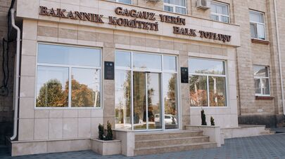 Исполнительный комитет АТО Гагаузия