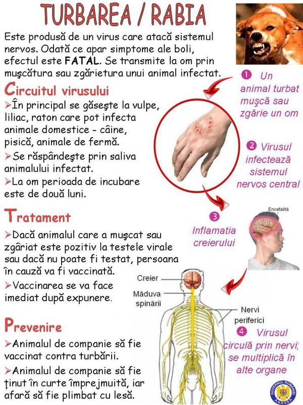 Ce au stabilit medicii din Franța despre cauzele morții minorului de 11 ani din Chișinău - Sputnik Moldova