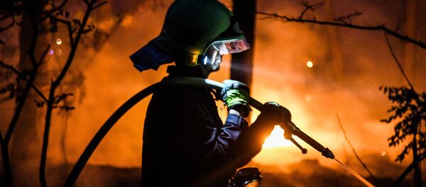 Пожарный тушит лесной пожар в Цильтендорфе близ Франкфурта-на-Одере, северо-восточная Германия, недалеко от границы с Польшей Пожарный тушит лесной пожар в Цильтендорфе близ Франкфурта-на-Одере, северо-восточная Германия, недалеко от границы с Польшей - Sputnik Молдова