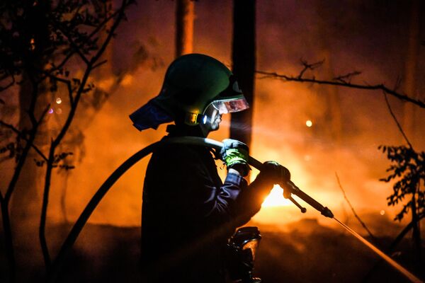Пожарный тушит лесной пожар в Цильтендорфе близ Франкфурта-на-Одере, северо-восточная Германия, недалеко от границы с Польшей - Sputnik Молдова