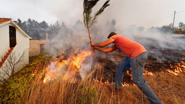 Местные жители тушат природный пожар в деревне Колос, Португалия - Sputnik Молдова