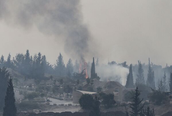 Дым над сгоревшим лесом в Израиле - Sputnik Молдова