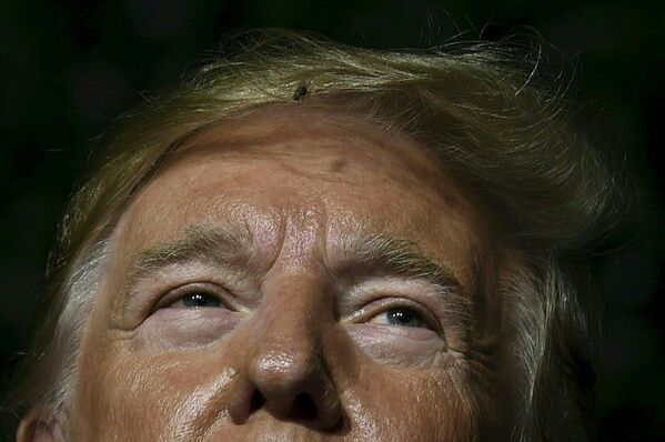 Муха в волосах президента США Дональда Трампа во время его выступления в Джеймстауне, штат Вирджиния - Sputnik Молдова