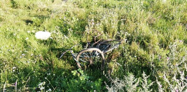 Ultima plimbare cu bicicleta: Tragedia unui bărbat de 62 de ani - Foto Ultima plimbare cu bicicleta: Tragedia unui bărbat de 62 de ani - Foto - Sputnik Moldova