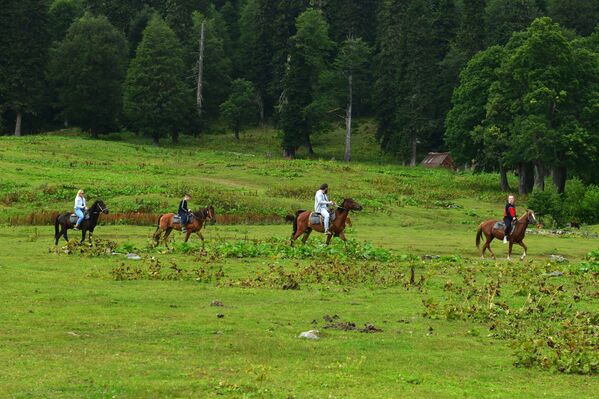 Туристы на лошадях в Рицинском реликтовом национальном парке в Абхазии - Sputnik Moldova-România