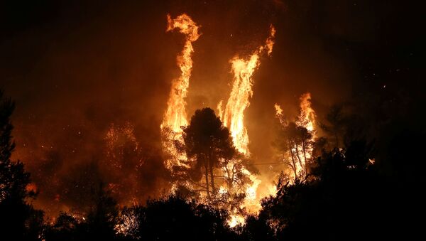 Лесные пожары на греческом острове Эвбея - Sputnik Moldova-România