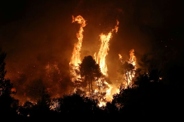 Лесные пожары на греческом острове Эвбея - Sputnik Moldova-România