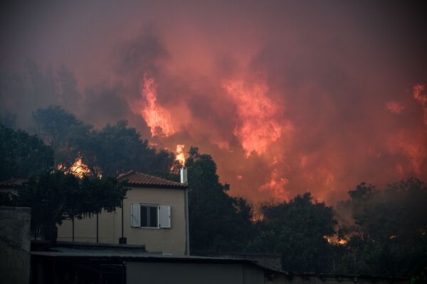 Лесные пожары угрожают деревне Кондодеспоти на греческом острове Эвбея - Sputnik Moldova-România