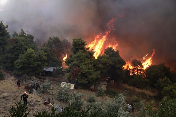 Пожарные и местные жители пытаются потушить лесной пожар на острове Эвия, Греция - Sputnik Moldova-România