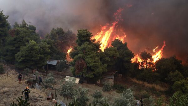Пожарные и местные жители пытаются потушить лесной пожар на острове Эвия, Греция - Sputnik Молдова