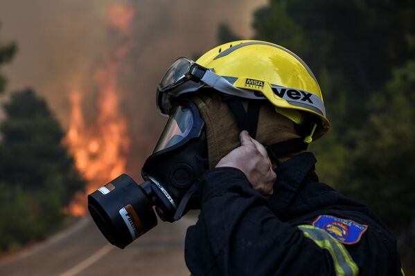 Un pompier în timpul stingerii incendiului forestier de pe insula greacă Evia. - Sputnik Moldova