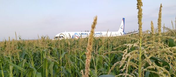 Пассажирский самолёт совершил жесткую посадку в Подмосковье  - Sputnik Молдова