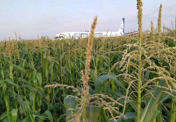 Самолет А-321 с пассажирами на борту совершил жесткую посадку в Подмосковье - Sputnik Moldova-România