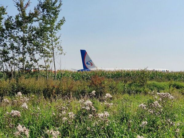 Последствия вынужденной посадки в Подмосковье лайнера Airbus А-321 авиакомпании Уральские авиалинии в результате попадания птиц в двигатели самолета - Sputnik Moldova-România