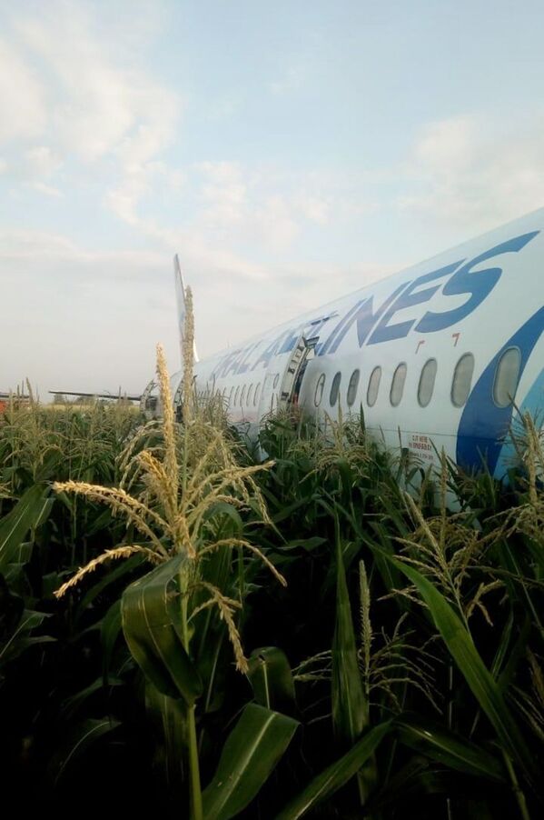 Avionul A-321, având pasageri la bord, a fost nevoit să aterizeze de urgență din cauza pătrunderii unor păsări în motorul aeronavei. - Sputnik Moldova