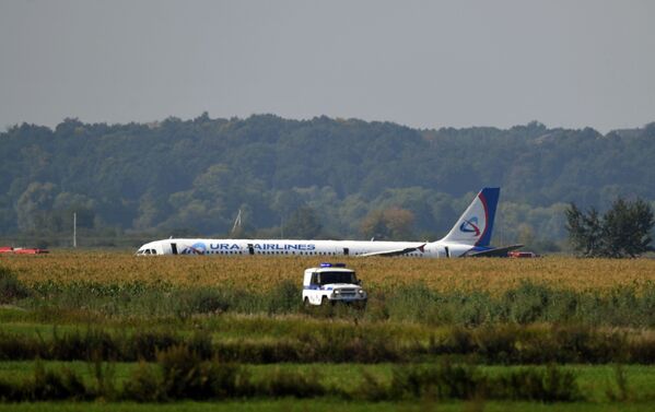 Avionul A-321, având pasageri la bord, a fost nevoit să aterizeze de urgență din cauza pătrunderii unor păsări în motorul aeronavei. - Sputnik Moldova