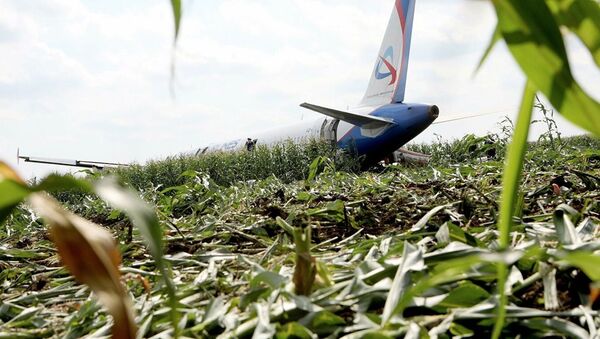 Последствия вынужденной посадки в Подмосковье лайнера Airbus А-321 авиакомпании Уральские авиалинии в результате попадания птиц в двигатели самолета - Sputnik Молдова