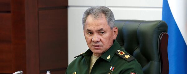Министр обороны РФ Сергей Шойгу - Sputnik Moldova-România