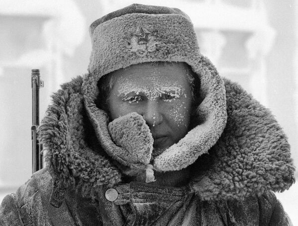 Grănicer în regiunea polară, 1982 - Sputnik Moldova