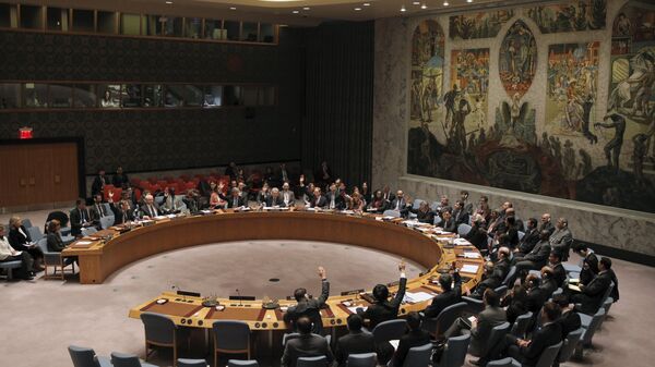 Заседание Совета безопасности ООН. Архивное фото - Sputnik Moldova-România