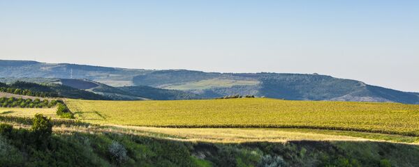 Поля и холмы Молдовы - Sputnik Молдова