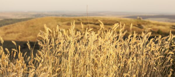 Лето в Молдове - Sputnik Молдова