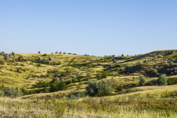 Colinele din preajma satului Glinjeni - Sputnik Moldova
