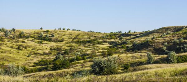 Холмистая местность рядом с селом Глинжены - Sputnik Moldova