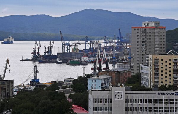 Вид на Владивостокский морской торговый порт - Sputnik Moldova-România