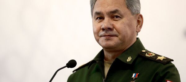 Sergueï Choïgou - Sputnik Moldova-România